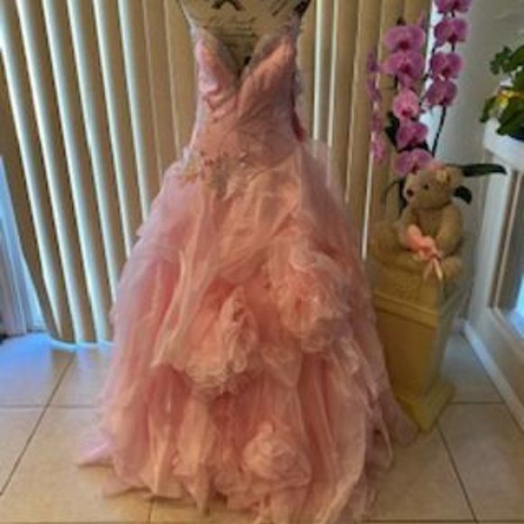 Clarisse Dresses & Skirts - *FINAL PRICE* Stunning Pink Strapless Embellish Corset Ball Gown Size 4